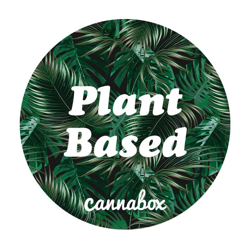 Cannabox Plant Based Dab Mat