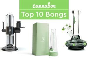Top 10 Best Bongs for Sale