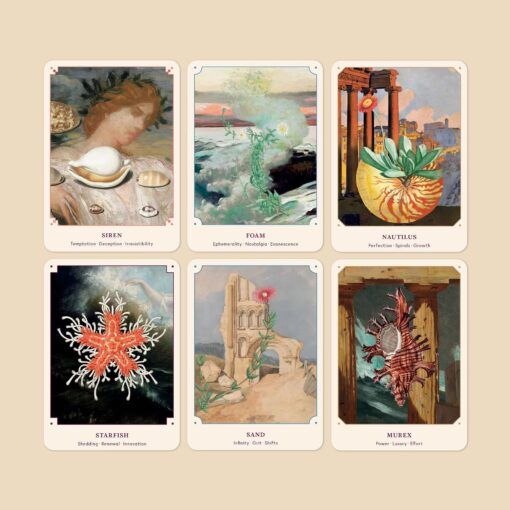 Broccoli Mag The Seashell Oracle: 44 Card Deck & Guidebook Cards