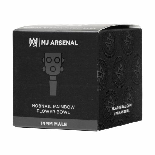MJ Arsenal Hobnail Rainbow Bowl - Image 5