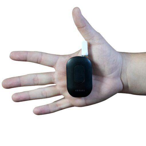 A hand is held open with a sleek, black oval-shaped Freeze Pipe Vape Pen featuring a white mouthpiece resting on the palm. The background is plain white.