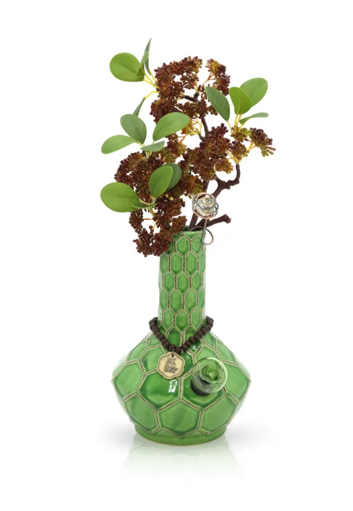 The TURTLE VASE BONG is a green hexagonal glass bong featuring leafy branches and maroon flowers at the opening, adorned with a necklace, charm, and ring, set against a white background.