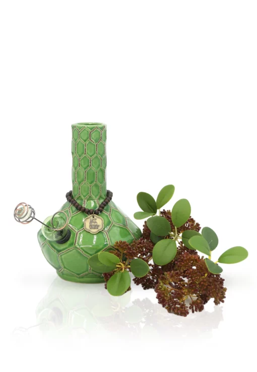 The TURTLE VASE BONG, featuring a green hexagon pattern and metallic medallion, is displayed next to green leaves and reddish-brown flowers on a white background.