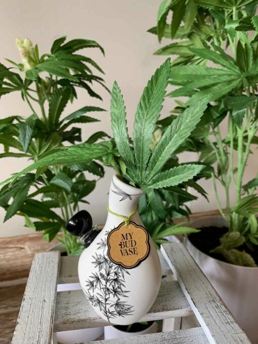 A small white Love Bud Vase Bong with black floral designs holds cannabis leaves and features a brown MY BUD VASE tag. It sits on a white wooden surface surrounded by potted cannabis plants.