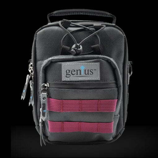 A compact black backpack with a small front pocket, burgundy straps, a GENIUS-labeled zipper pull, and a gray top patch showing the brand name "genius" with a blue stylized figure above the letter i.