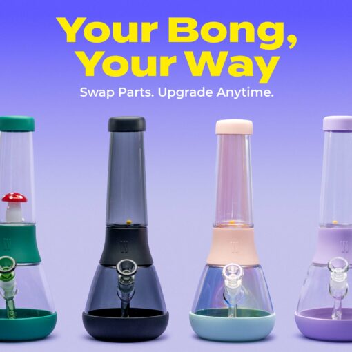 The Bong - Forest - Image 5