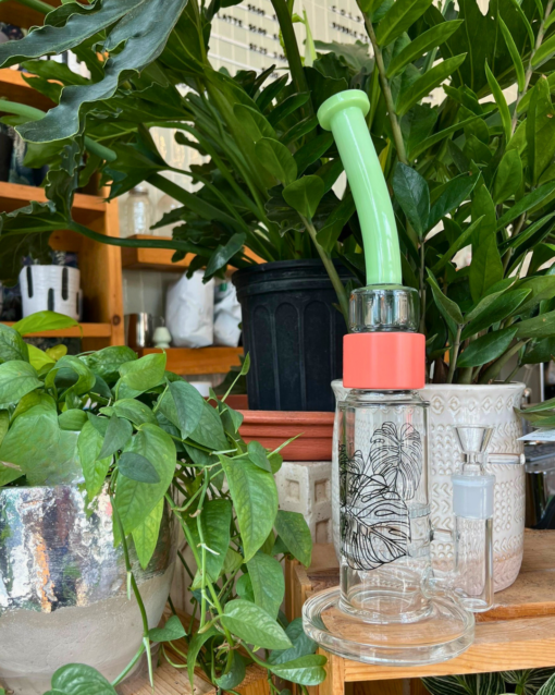 Monstera Bent Big Honeycomb - Image 2
