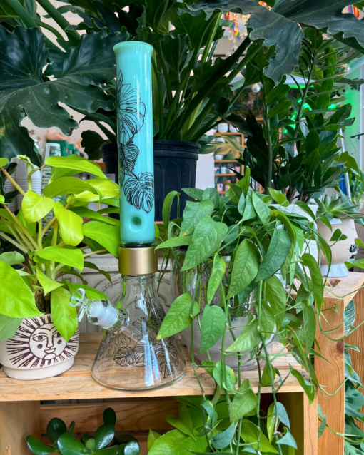 Monstera Tall Beaker - Image 2