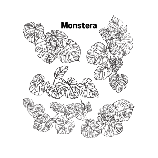 Monstera Tall Beaker - Image 3