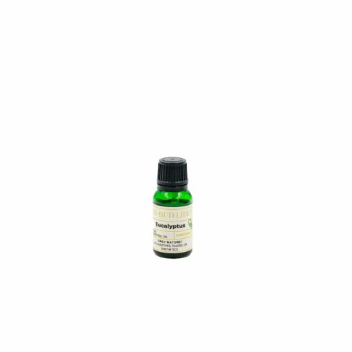 Eucalyptus Set - Image 16